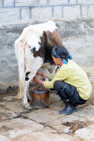 Milk for Breakfast.jpg